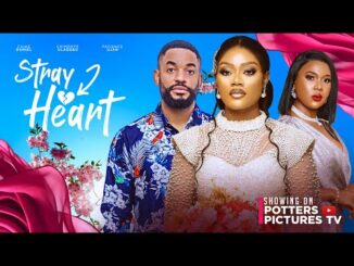 Download Stray Heart (2024) Nollywood Movie