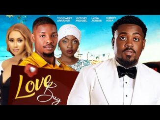 Download Love Bug (2024) Nollywood Movie