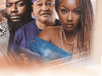 Download Safe (2022) – Nollywood Movie