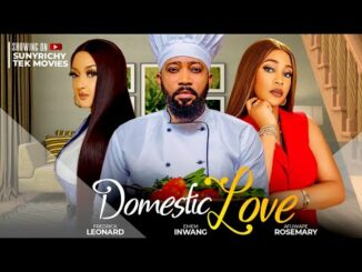 Download Domestic Love (2024) Nollywood Movie