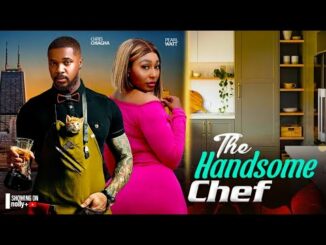 Download The Handsome Chef In Disguise (2024) Nigerian Movie