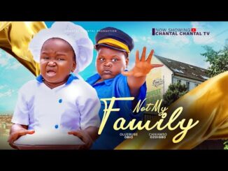 Download Not My Family (2024) Nollywood Movie