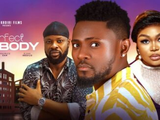 Download Perfect Nobody (2024) [Nollywood]