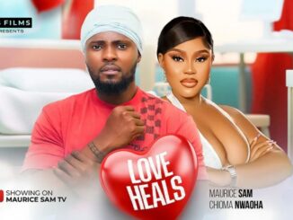 Download Love Heals (2024) [Nollywood]