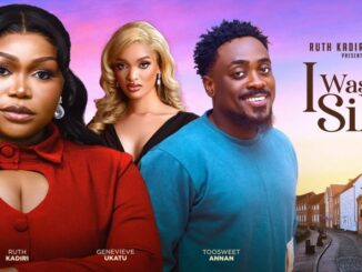 Download I WAS SILLY (2024) [Nollywood]