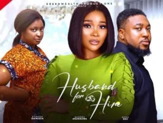 Download Husband For Hire (2024 Nollywood Movie)