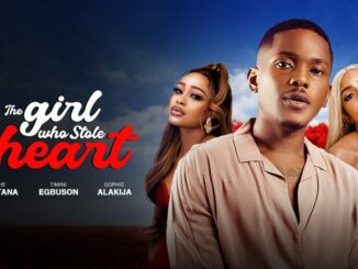 Download THE GIRL WHO STOLE MY HEART (2024) [Nollywood]