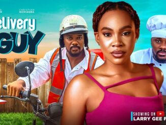 Download DELIVERY GUY (2024) [Nollywood]